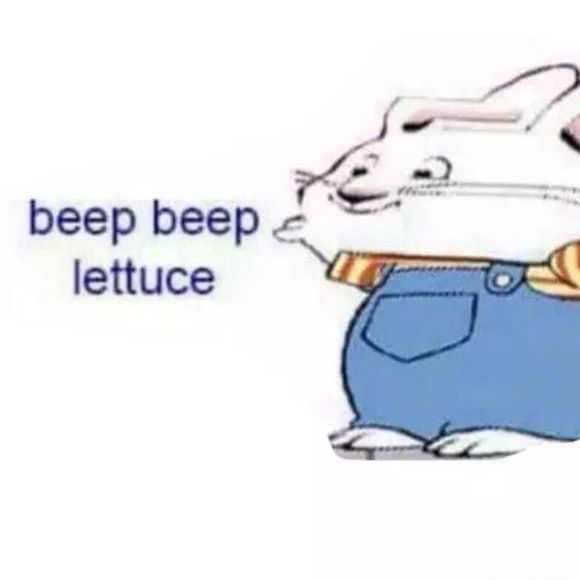 Meet your Posher, Forrest - Picture 1 of 1